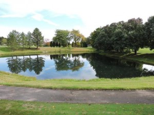 pond and greenway at country club village of northville